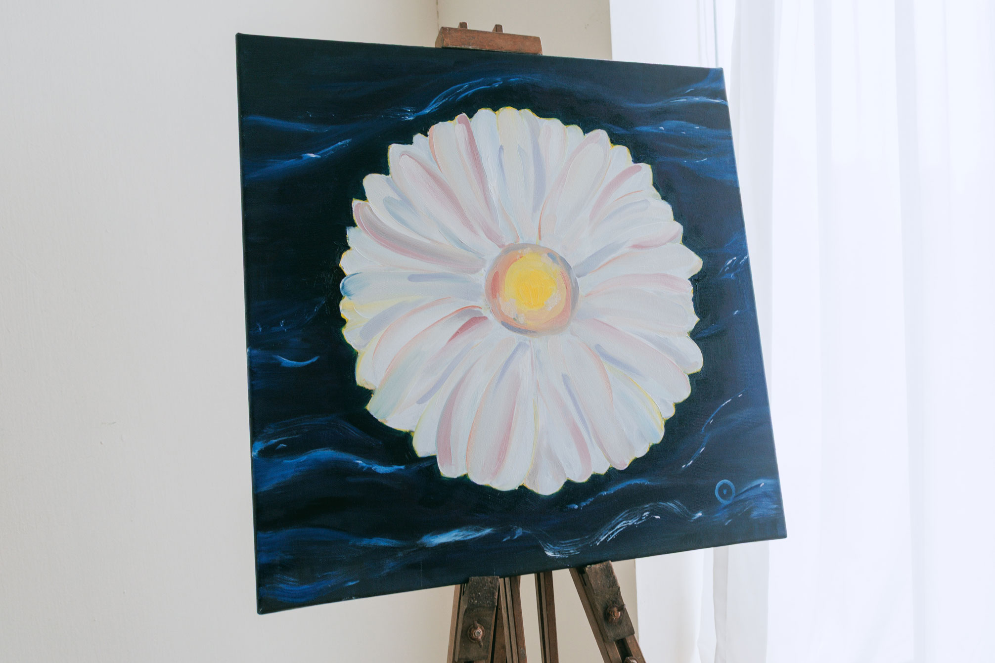 Chrysanthemum
